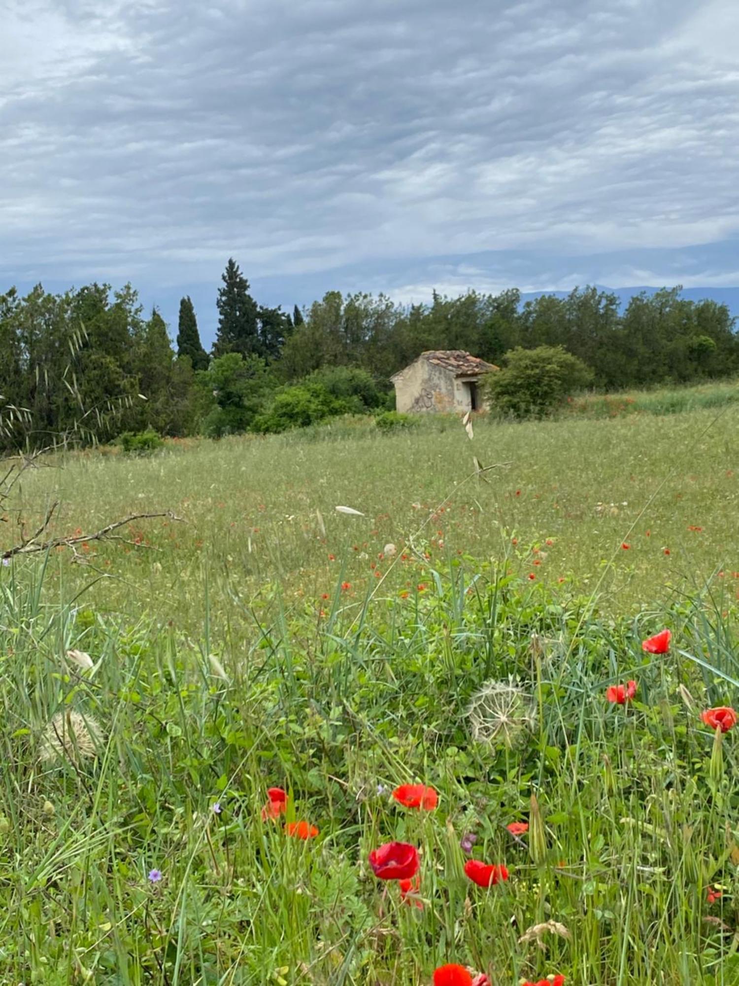 Inspiration Maison Entiere Avec Jardin Pernes-les-Fontaines Ngoại thất bức ảnh